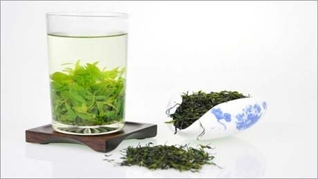 小叶苦丁茶的功效,小叶苦丁茶春天能喝吗?